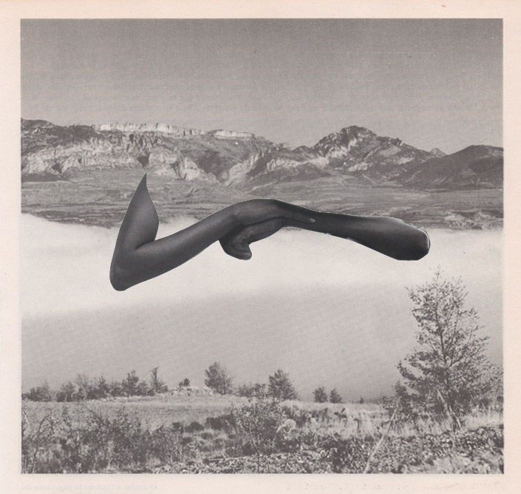 Invierno - Lidia Anaut